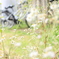 自転車置き場