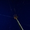 電柱と星