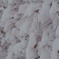 御神籤に雪