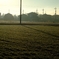 朝の光　2008