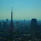 From 42nd floor