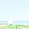 summer canvas