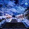 雪と鞍馬寺