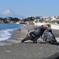 七里ガ浜高校前