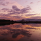 DAWN PURPLE