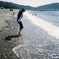 海