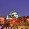 幻想庭園①