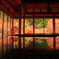 紅葉リフレクション