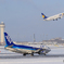 ANAとSKYMARK