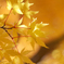 20081113045a