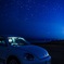 Beetle night