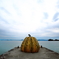 直島 yayoi kusama