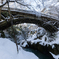 雪のこおろぎ橋