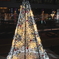 クリスマスツリー