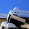 スズメも雪遊び