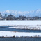 雪５