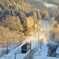 雪化粧した森から