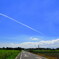 飛行機雲