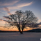 Winter's melancholy