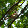 野鳥公園にて