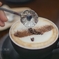 コーヒー