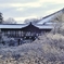 京都 東福寺 雪の朝
