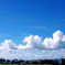 夏の思い出*