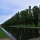 手稲前田森林公園