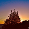 夕景