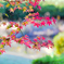 公園の紅葉