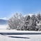 お揃いの雪化粧