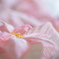思いやり・・・♡