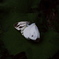 愛し君・・・
