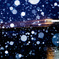 雪の降る夜は･･