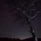 初めての星空