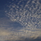 ひつじ雲