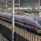 EVA500　