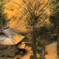 康平寺13