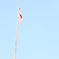 青空の下に