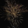 HANABI