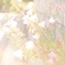 FLOWER .