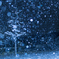 積雪