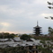 高台寺より