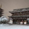 雪の浅草寺