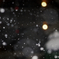 久しぶりの雪
