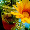 Cold drinks over Flowers