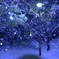 静かな夜の雪