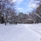 中島公園