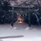 夜の散歩