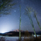 Winter star
